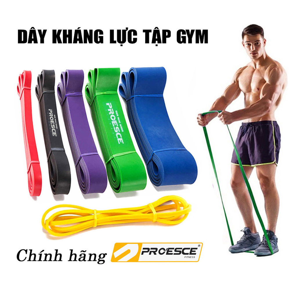 DÂY KHÁNG LỰC TẬP GYM POWERBAND CHÍNH HÃNG PROESCE - HỖ TRỢ TẬP GYM TOÀN THÂN