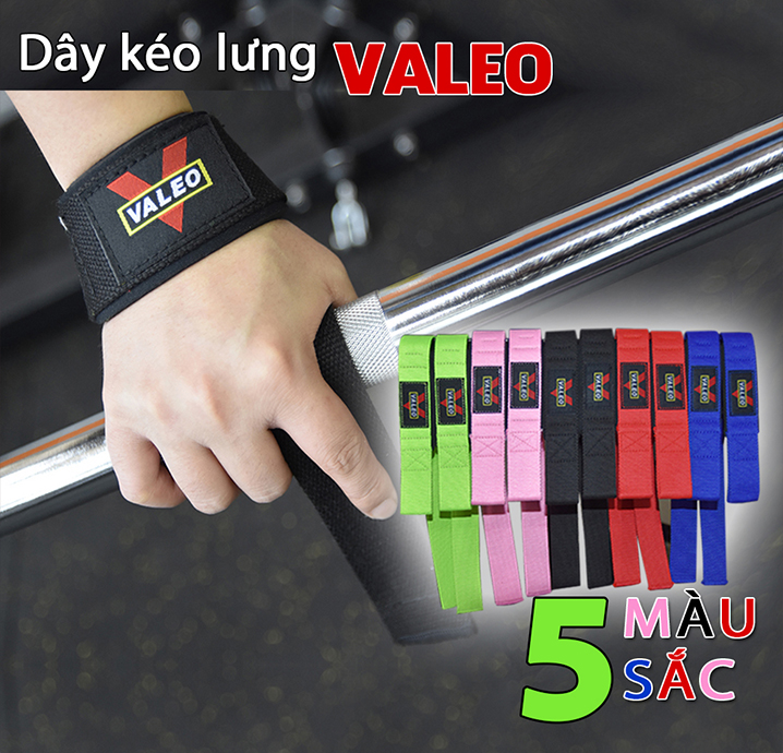 Dây kéo lưng tập GYM VALEO Lifting Straps -Hỗ trợ Deadlift, kéo tạ, lên xà (1 Đôi)