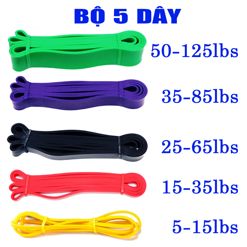 Dây kháng lực Resistance Loop Bands - PowerBand Đa Năng hỗ trợ tập Gym, lên xà